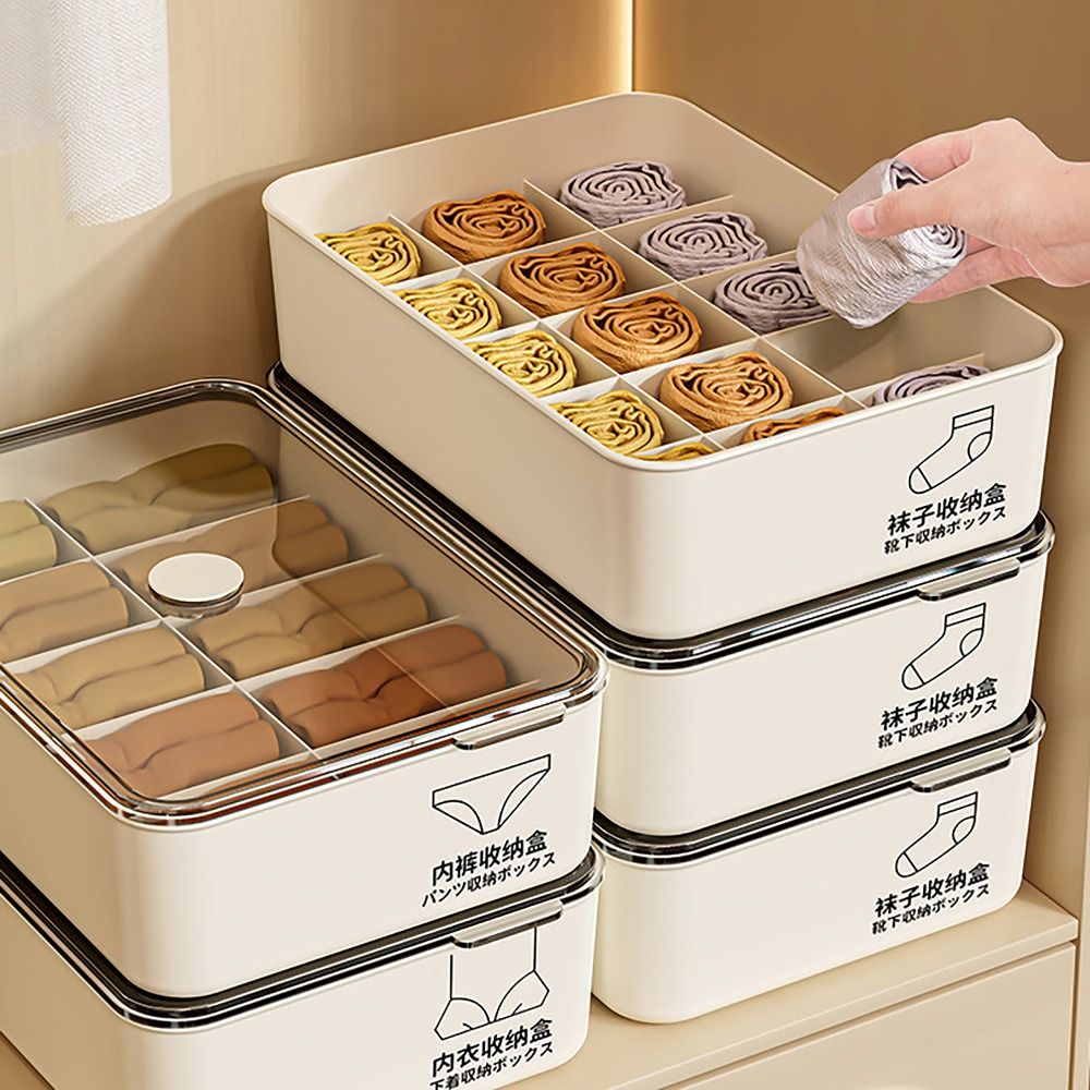 10/15 vakjes ondergoed opbergb - Sock Organizer Tray recensie en prijs